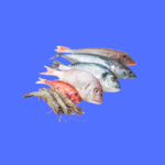 recipe-category